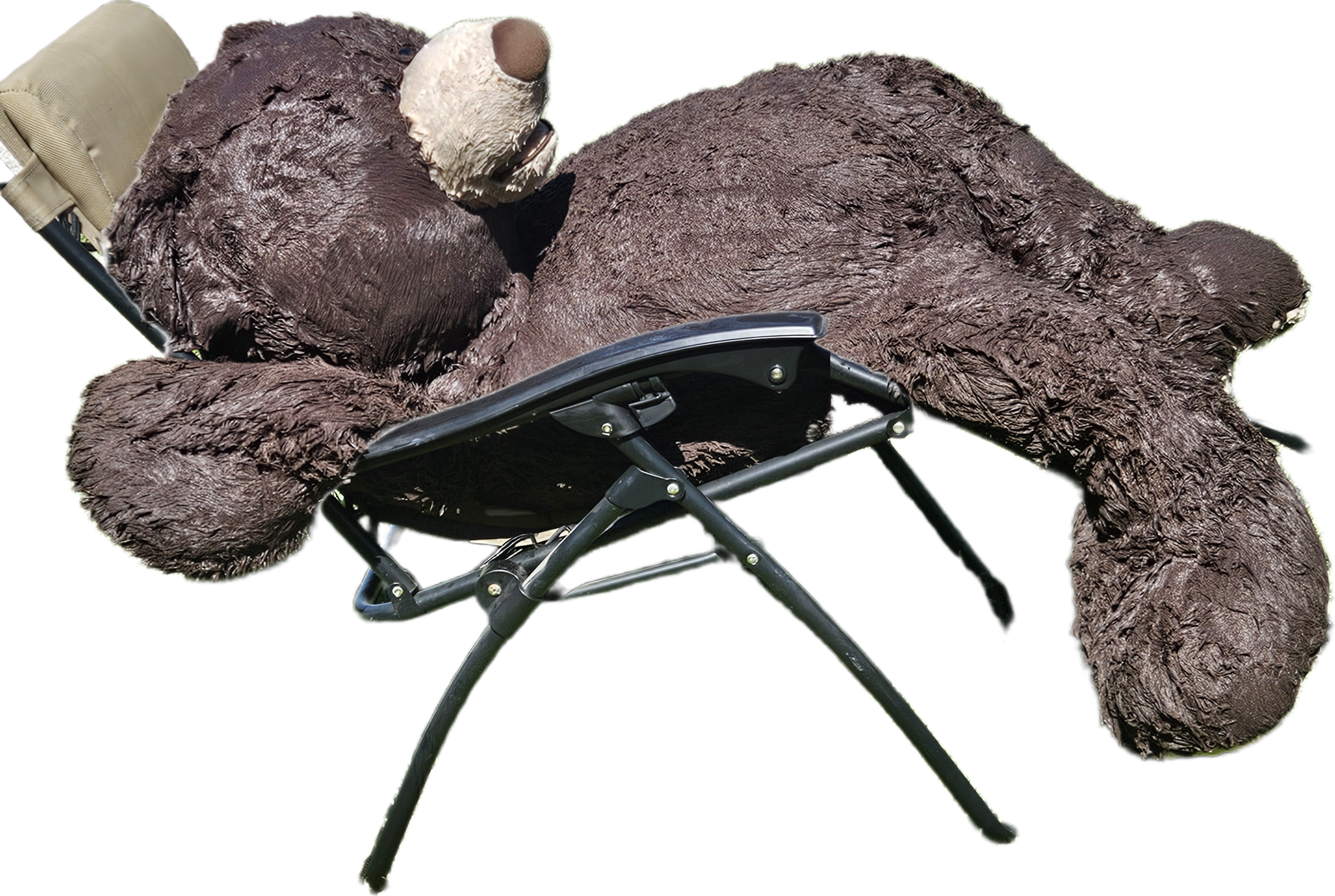 Four foot tall dark brown teddy bear, soaking wet, lying nearly reclined on an olive green lawn chair